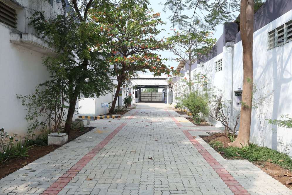 Pathway